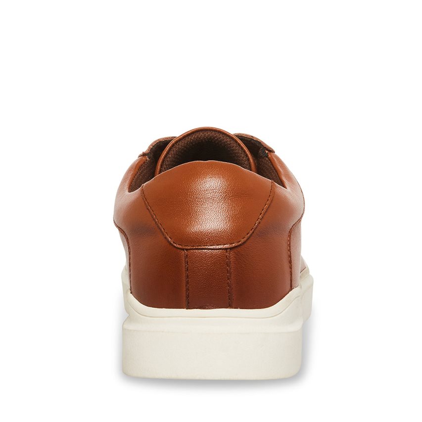 Αθλητικά Παπούτσια ανδρικα Steve Madden Tilton δερματινα καφε | GR-9273ACZ