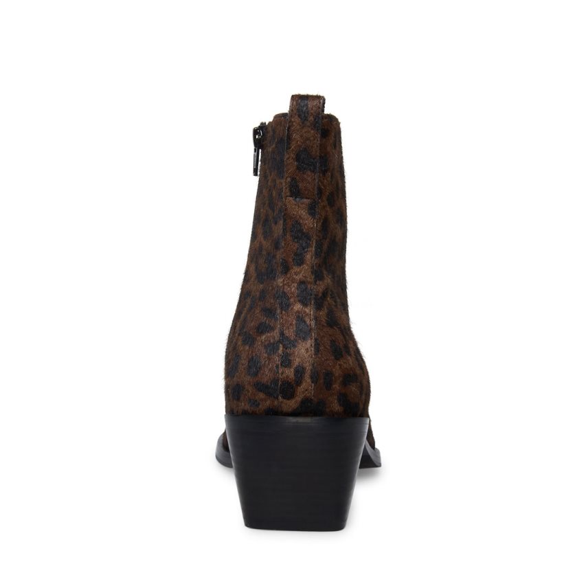 μποτακια ανδρικα Steve Madden Richie λεοπαρ | GR-4786CJO