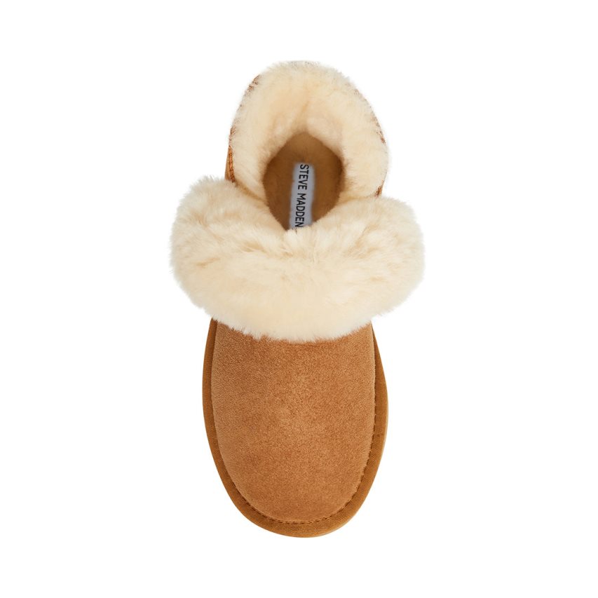 μποτεσ χιονιου γυναικεια Steve Madden Alpine σουετ καφε | GR-2597XSE
