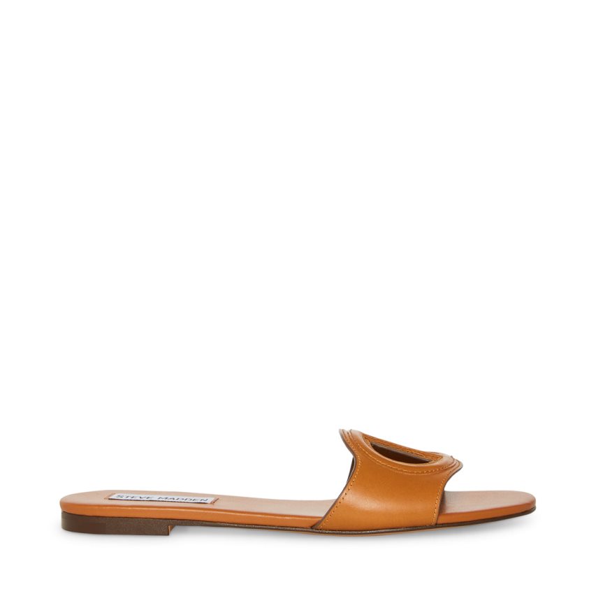 παντοφλεσ γυναικεια Steve Madden Kylah δερματινα καφε | GR-9186YQD