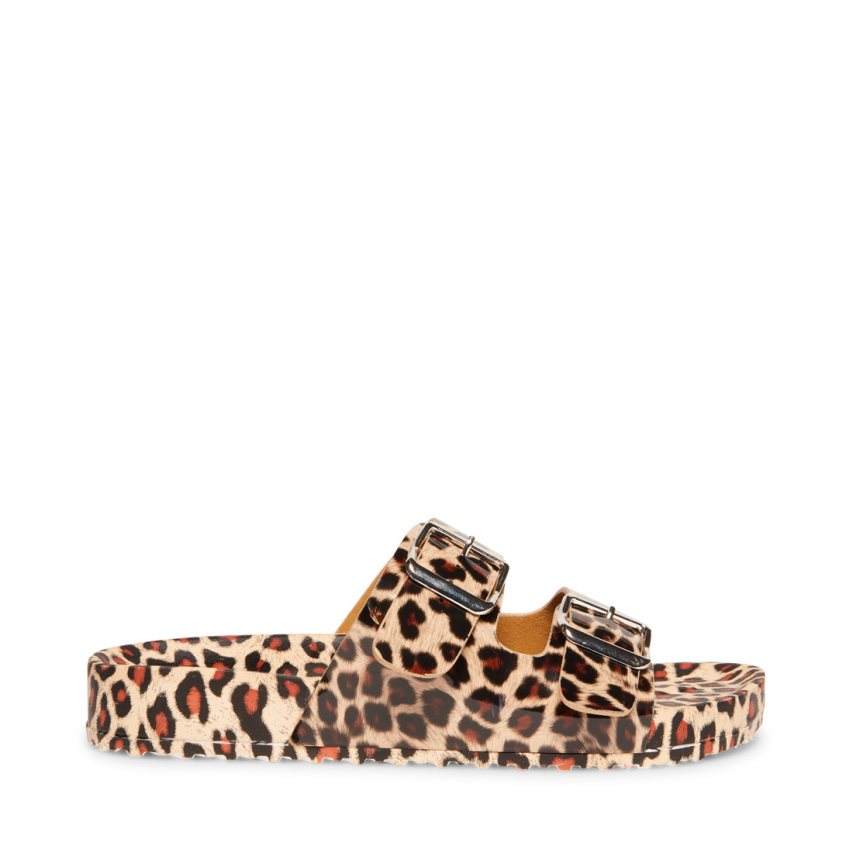 παντοφλεσ γυναικεια Steve Madden Teddy-t λεοπαρ | GR-6529YVX