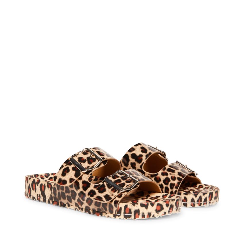 παντοφλεσ γυναικεια Steve Madden Teddy-t λεοπαρ | GR-6529YVX
