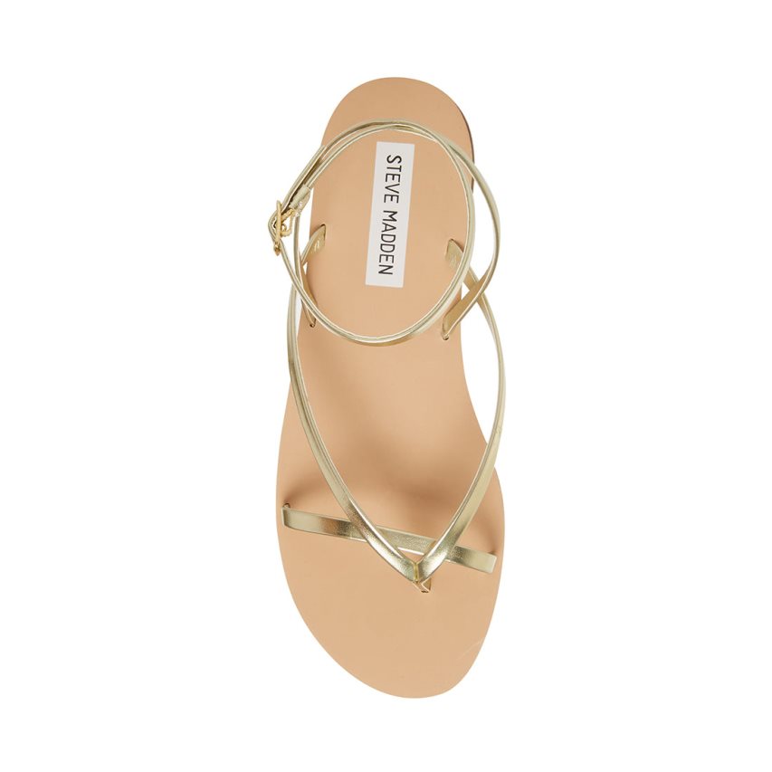 φλατ πεδιλα γυναικεια Steve Madden Amuse χρυσο χρωμα | GR-8O56SQT