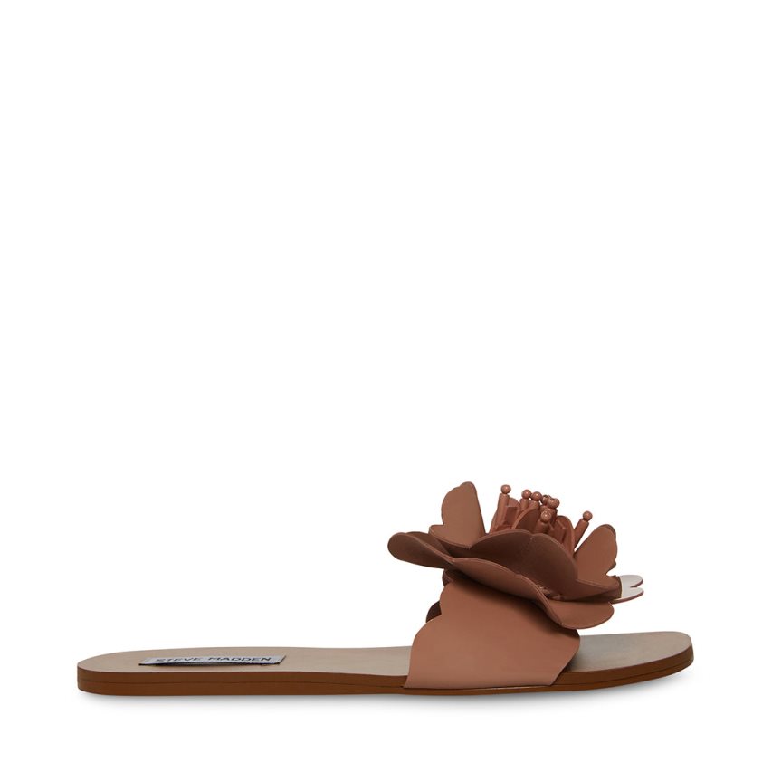 φλατ πεδιλα γυναικεια Steve Madden Chelsea καφε | GR-859OPUE