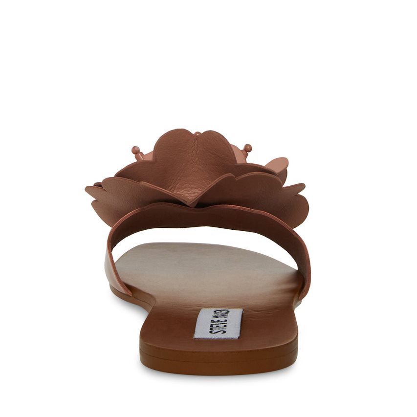 φλατ πεδιλα γυναικεια Steve Madden Chelsea καφε | GR-859OPUE
