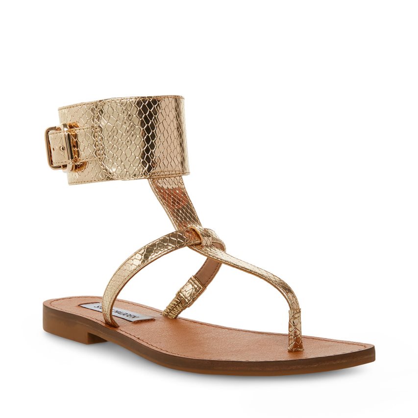φλατ πεδιλα γυναικεια Steve Madden Rico Snake χρυσο χρωμα | GR-2369TKY