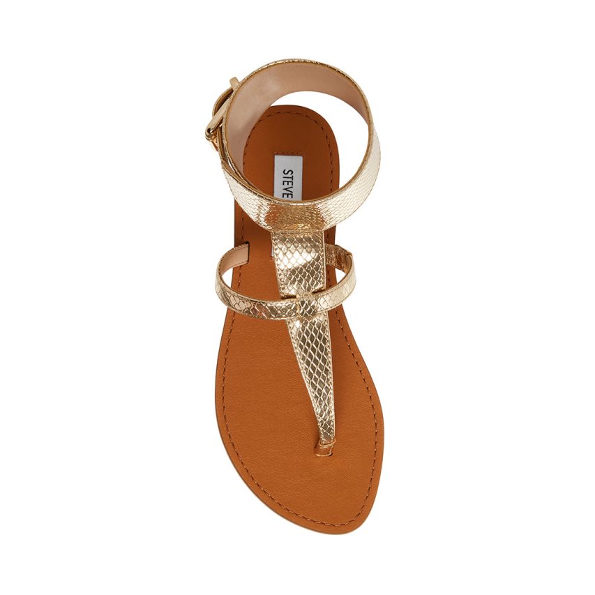 φλατ πεδιλα γυναικεια Steve Madden Rico Snake χρυσο χρωμα | GR-2369TKY