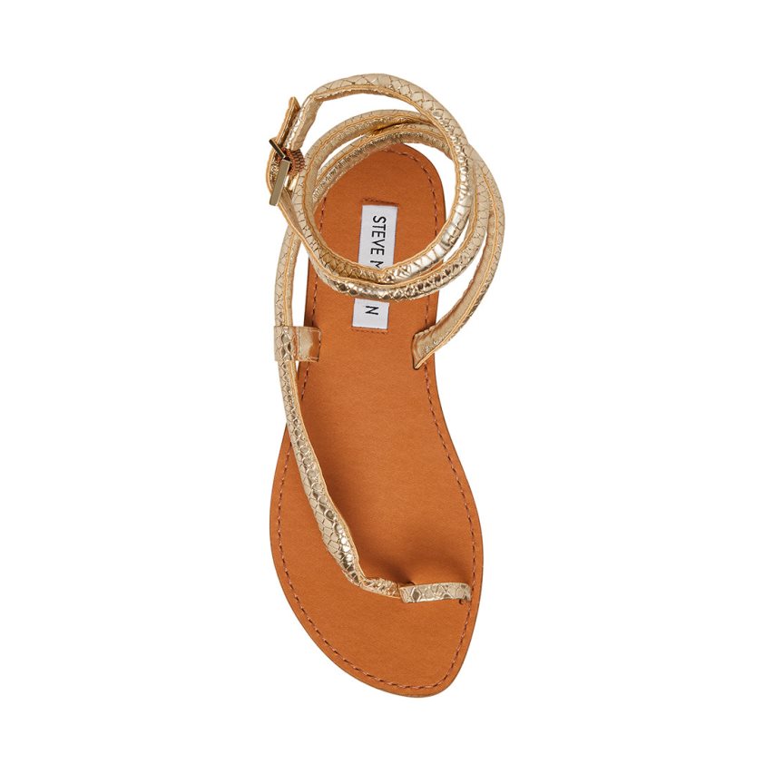 φλατ πεδιλα γυναικεια Steve Madden Scales Snake χρυσο χρωμα | GR-6158QPF