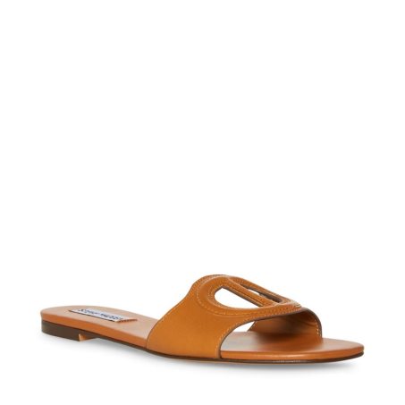 παντοφλεσ γυναικεια Steve Madden Kylah δερματινα καφε | GR-9186YQD