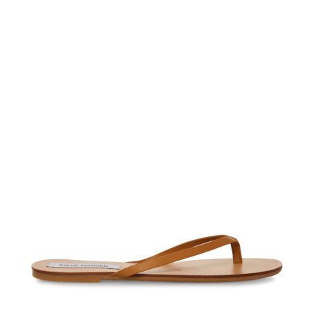 σαγιοναρεσ γυναικεια Steve Madden Image δερματινα καφε | GR-1527RZK