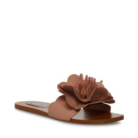 φλατ πεδιλα γυναικεια Steve Madden Chelsea καφε | GR-859OPUE