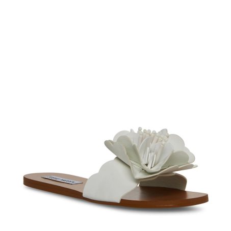 φλατ πεδιλα γυναικεια Steve Madden Chelsea ασπρα | GR-8629STM